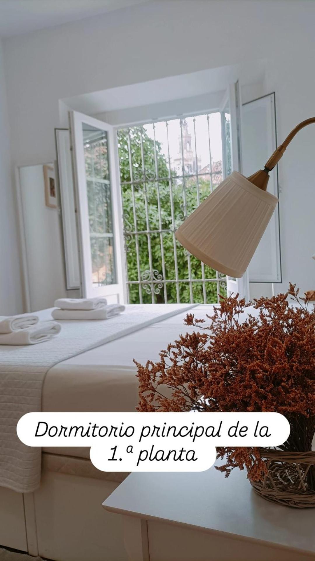 Apartamentos En La Plaza Dona Elvira, 7 Sevilla Kültér fotó